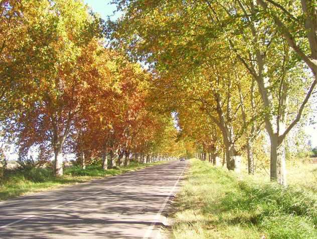 Otoño en Colonia Caroya