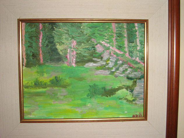 paisatge de les bouillouises