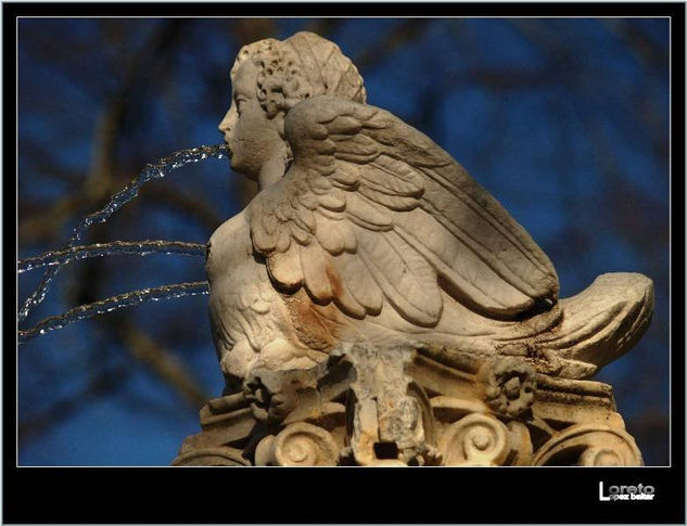 Dama de Aranjuez 