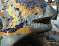 CAMALEON GAUDI