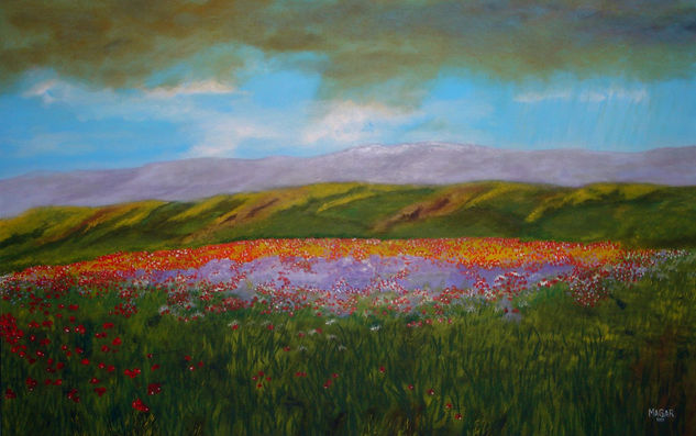 campo de amapolas Oil Canvas Landscaping