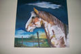 "caballo junto a la alambrada"