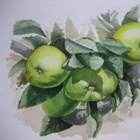 obra