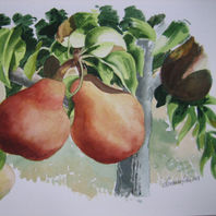 obra