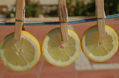 limones3