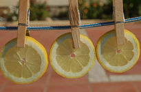 Limones3