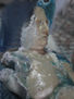 Venus de Milo encontrada en la playa