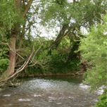 FOTOGRAFIA thumbnail 1