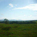 fotos naturales thumbnail 2