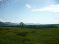 Paisaje
