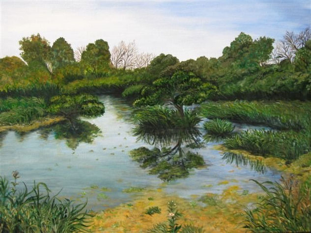 BAÑADO EN EL REFUGIO Acrylic Canvas Landscaping