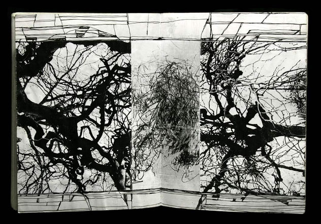 Boceto para "hombre árbol" 10