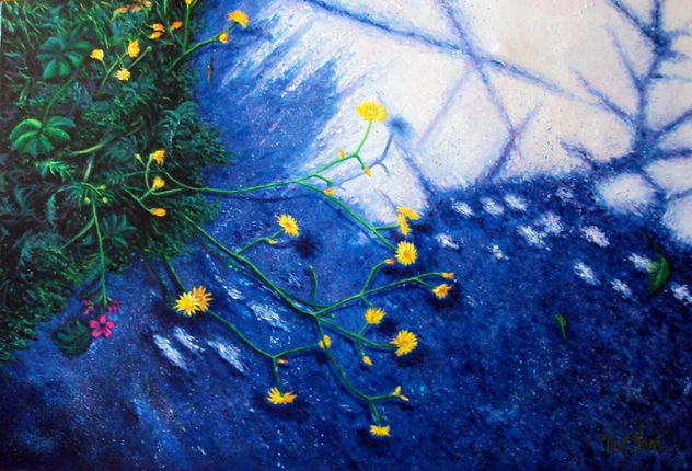Naturaleza en la sombra
