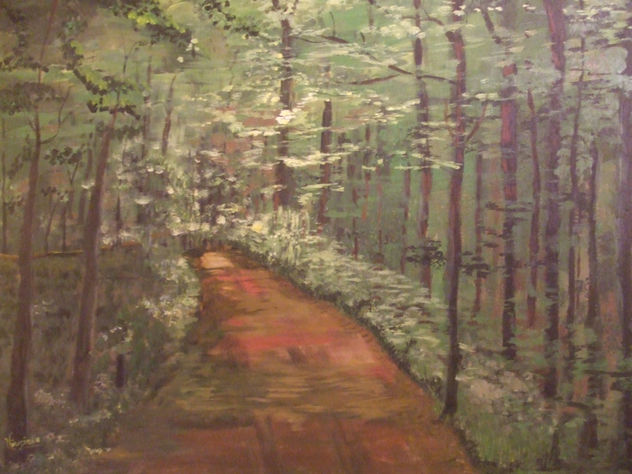 BOSQUES PATAGONICOS