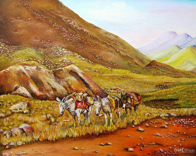 Burros de Catamarca 