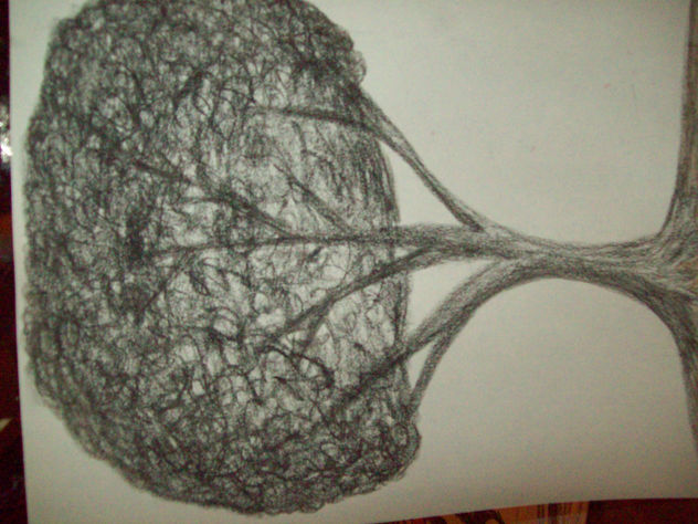 arbol solo