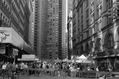 saturday market