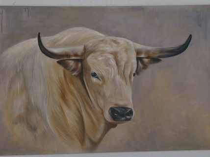 Cabeza de toro