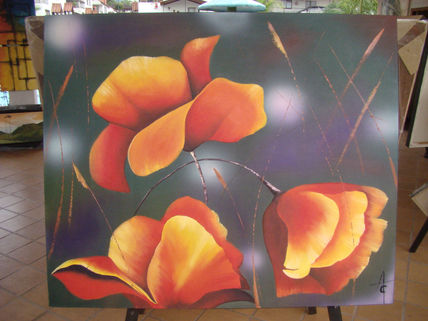 Amapola