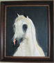 cabeza de caballo