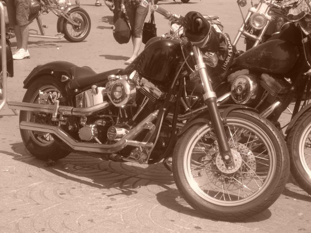 harley moto