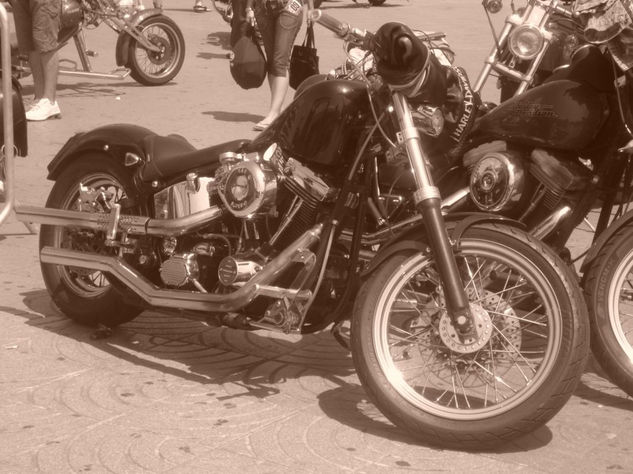 harley moto 