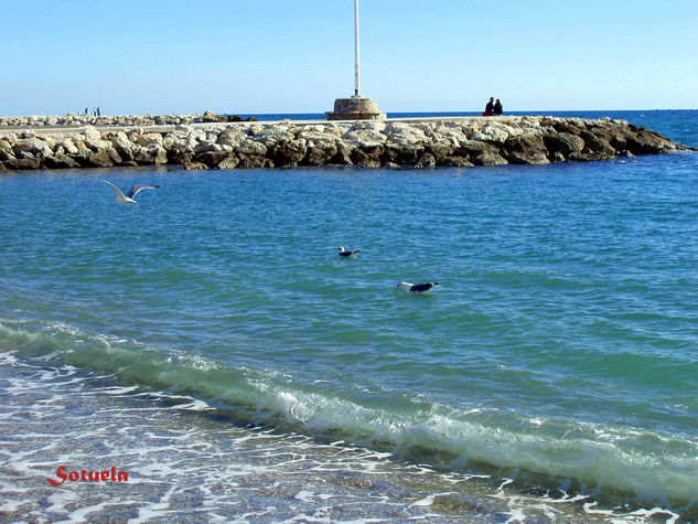 Málaga Pedregalejo playa Naturaleza Color (Digital)