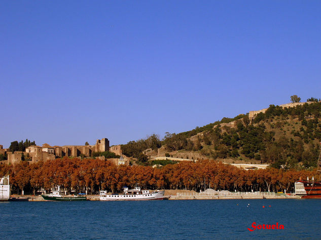 Málaga El Puerto y La  Alcazaba Naturaleza Color (Digital)