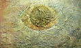 Man - Ojo