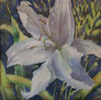 Blanca Flor
