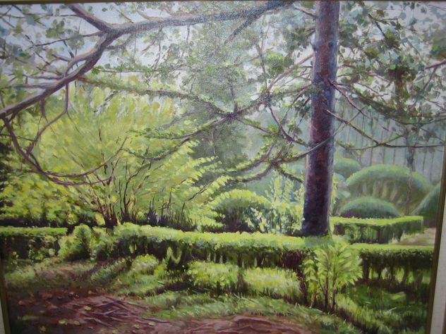 COLLSEROLA