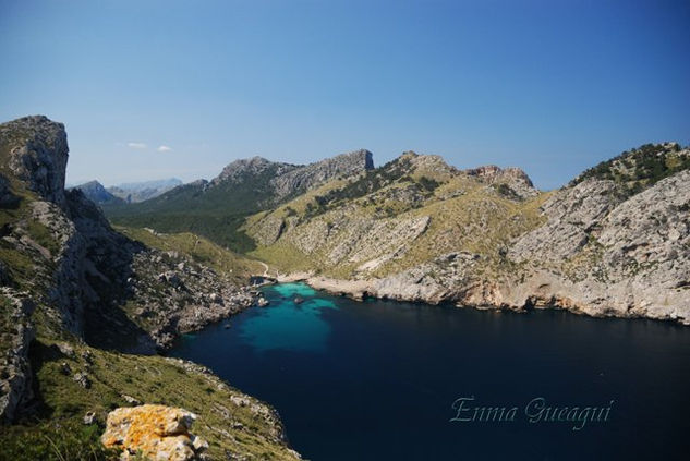 FORMENTOR Naturaleza Color (Digital)