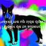dogkiller3