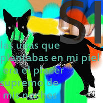 Dogkiller4