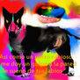 dogkiller8