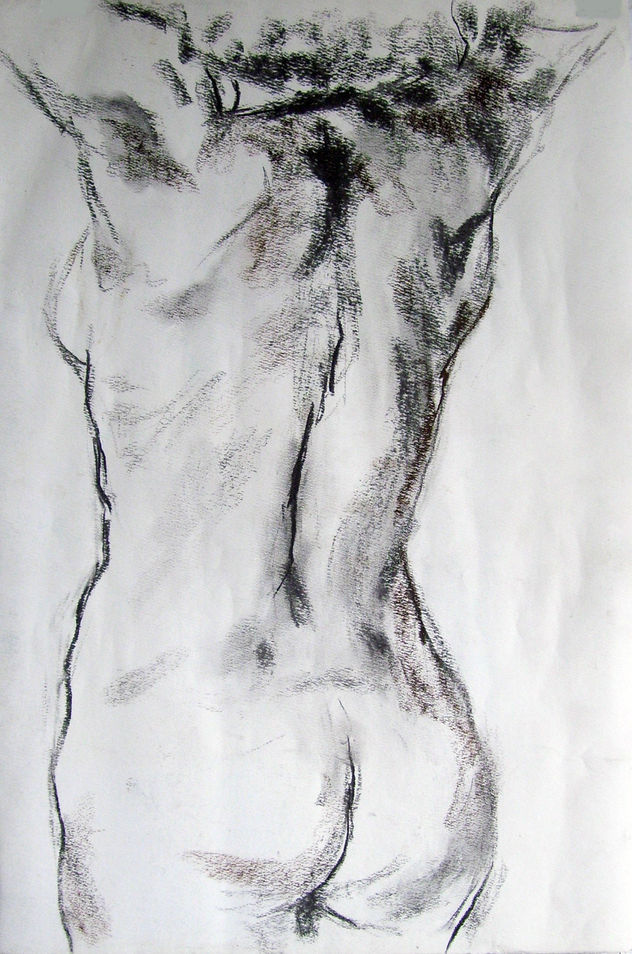 desnudo femenino 1