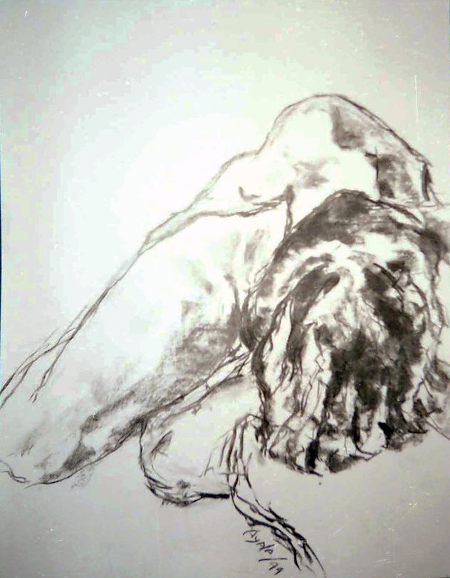 desnudo femenino 2