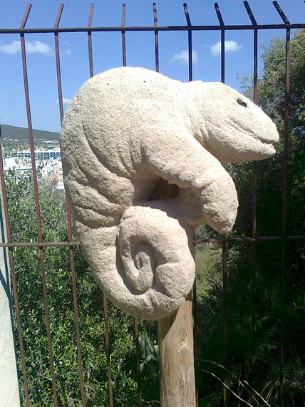 Samarcanda