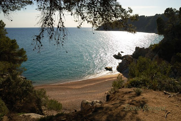 A MEDIO CAMINO (LLORET DE MAR) Naturaleza Color (Digital)