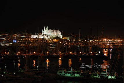 Vista palma de...
