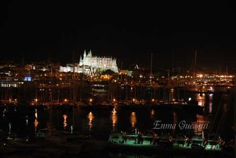 Vista palma de...