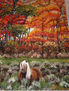 BOSQUE EN MAIN