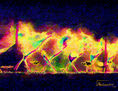 FUENTE 15