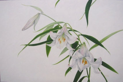 Lirios blancos