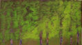 arboles encantados
