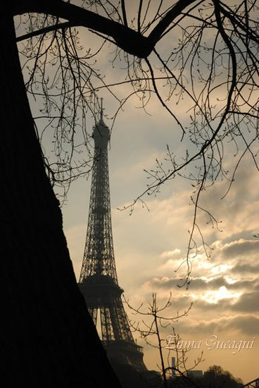 POR PARIS 1 Nature Color (Digital)