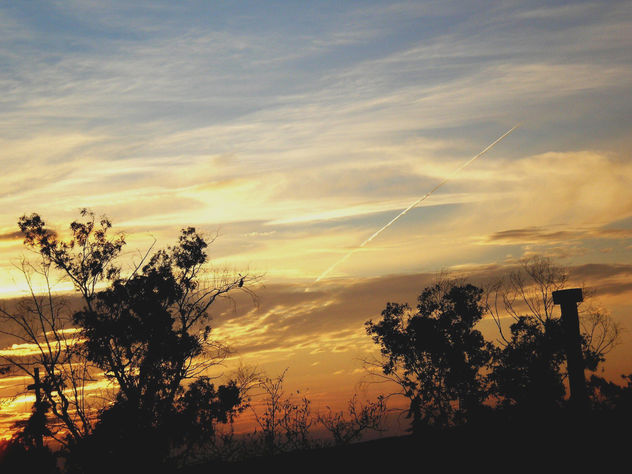 NATURALEZA