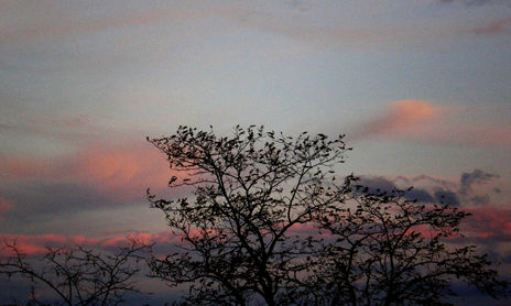 NATURALEZA