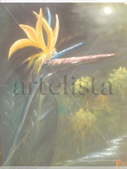 Flor de Ave del Paraìso Oil Canvas Landscaping