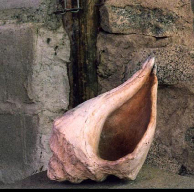 Caracola.